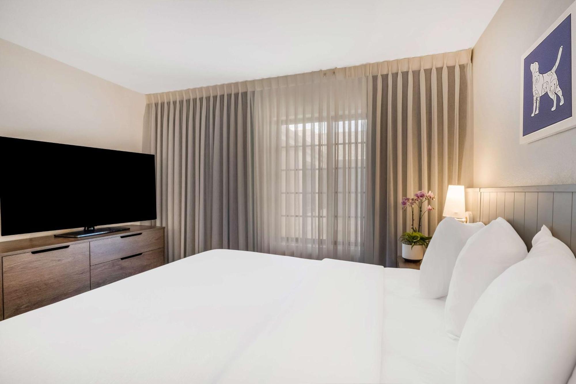 Sonesta Es Suites San Jose - Airport Kültér fotó